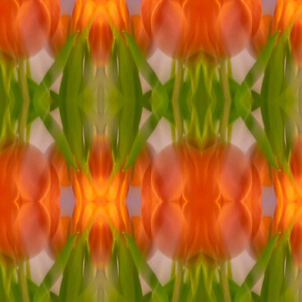 Tulpe Collage | Abstrakt von Rob van der Pijll