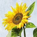 sunflower by Yvonne Blokland thumbnail
