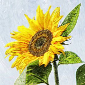 sunflower von Yvonne Blokland