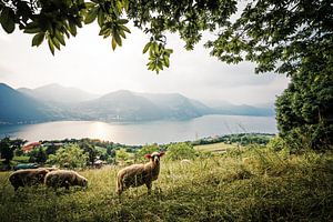 Monte Isola - Lake Iseo (Italy) sur Alexander Voss