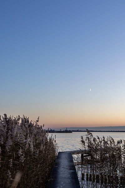 Siehe, der Mond scheint... von Lydia