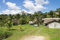 Grünes Dorf im Dschungel von Belize