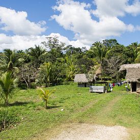 Groen dorp in het oerwoud van Belize van Joost Winkens