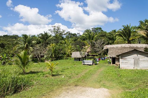 Green village in the jungle of Belize