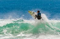 Surfeur à Malibu par Easycopters Aperçu