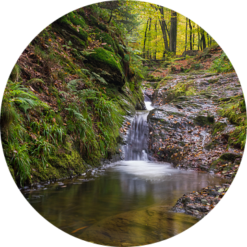 blik op de waterval in de Ninglinspo van Francois Debets