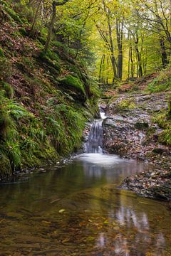 blik op de waterval in de Ninglinspo van Francois Debets