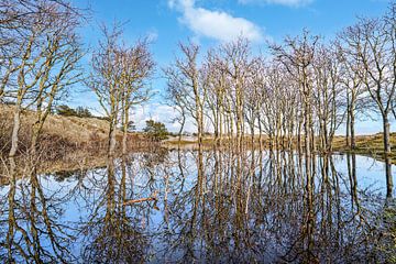 Helders coast with the Helders dunes at high tide by eric van der eijk