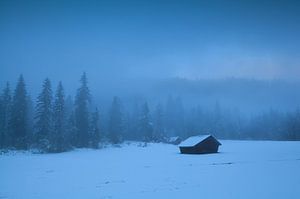 Winter mystery