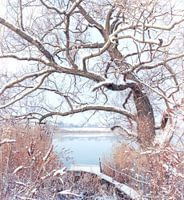 First snow