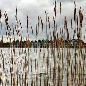 The Reed Lake through the reeds by René Beijer