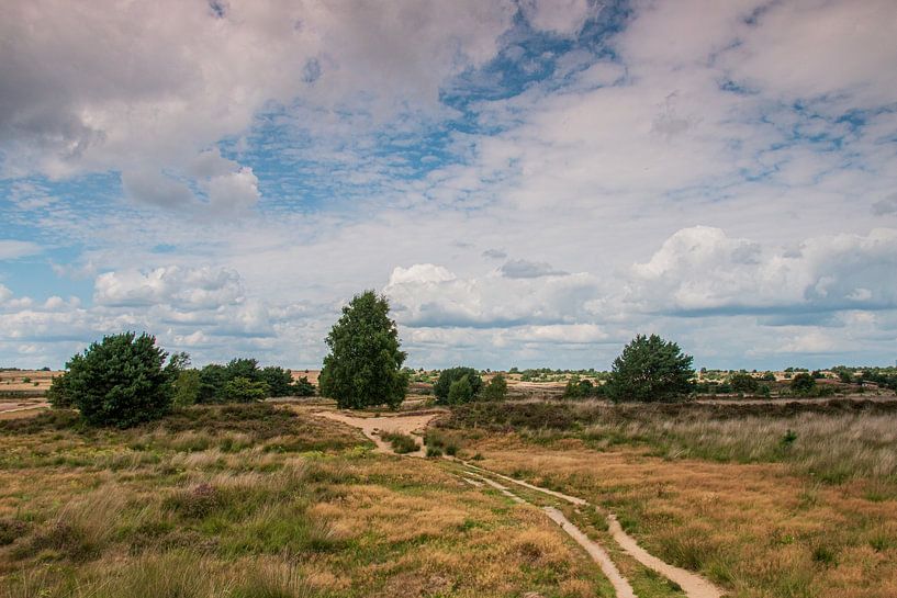 Tranquillité par DaylightScanPhotography