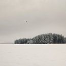 Winterlandschaft von Lena Weisbek Miniaturansicht