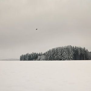 Winterlandschap van Lena Weisbek