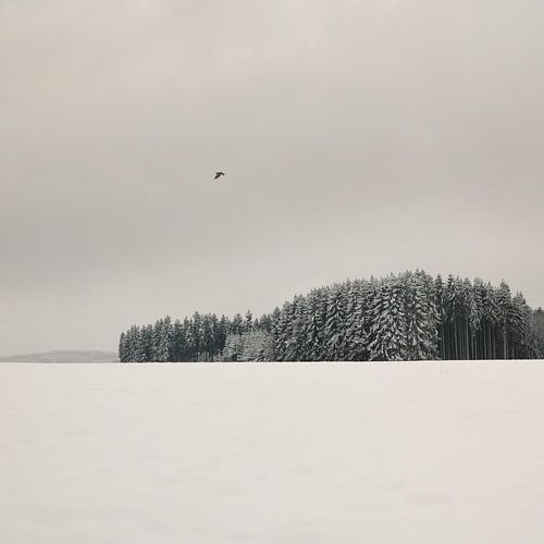 Winterlandschap