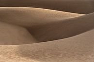 Gouden duinen in de woestijn | Iran van Photolovers reisfotografie thumbnail