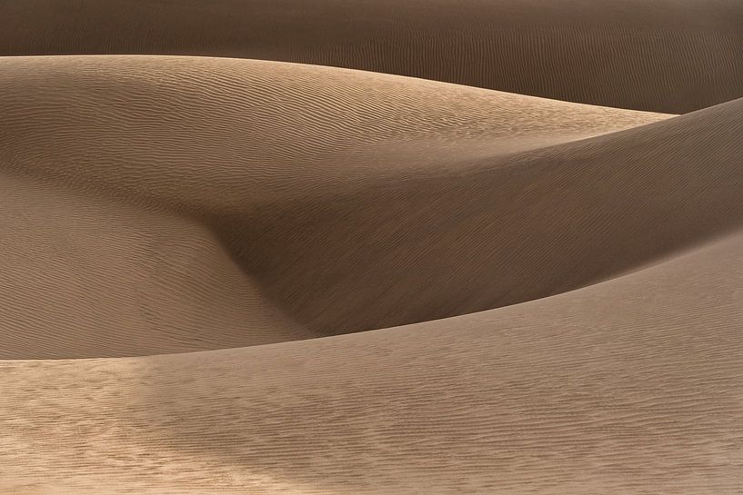 Dunes dorées dans le désert d'Iran par Photolovers reisfotografie