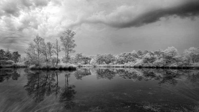 Infrarot-Ven Oisterwijk von Joris Buijs Fotografie