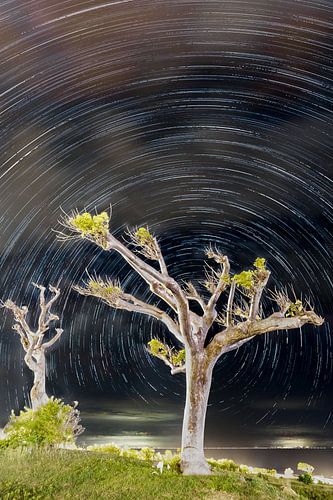 Startrails St. Eustatius van Marco Linssen