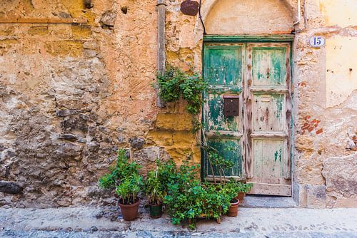 Deur met Planten van Perry Wiertz