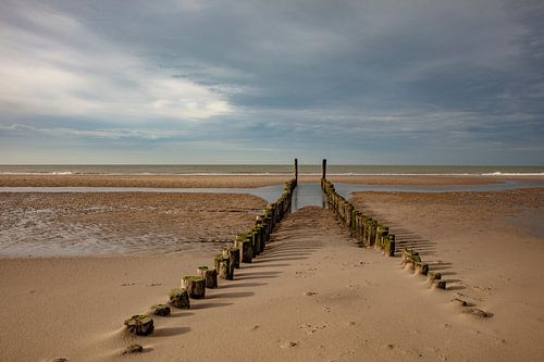 Pole heads at Domburg the north sea