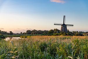 Het Twiske landschap en de Twiske molen van Michael Ter horst