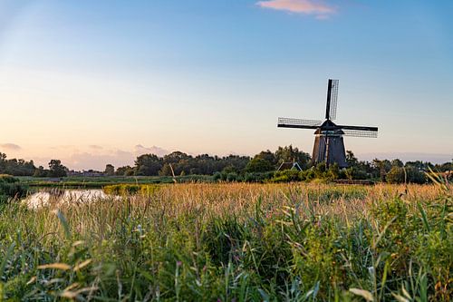 Le paysage de Twiske et le moulin de Twiske