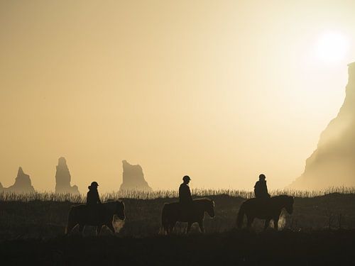 IJsland, Zonsondergang met Paarden van Caroline Guerain