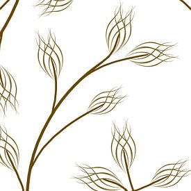 branches brunes avec fleur sur daphne houtman