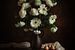 Stilleben von weißen Gerbera und Rosen mit Kochbirnen in braunem Glas | Kunstfotografie Niederlande von Willie Kers