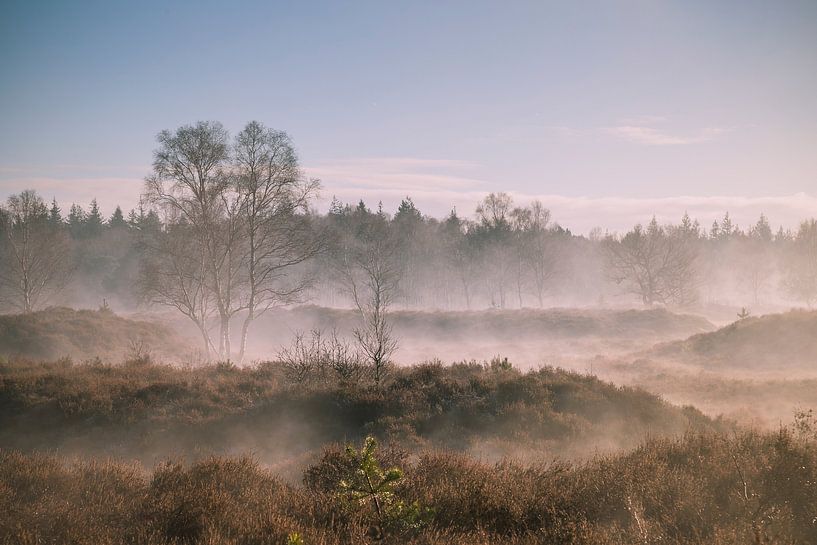 Mist above the heathland by Jan van der Wolf