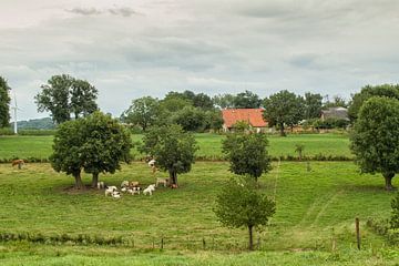 Bocholtz in Zuid-Limburg van John Kreukniet