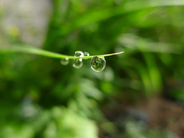 droplet van erik boer