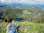 Uitzicht op de Feldsee in het Zwarte Woud van Animaflora PicsStock thumbnail