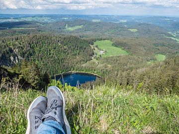 Blick auf den Feldsee im Schwarzwald von Animaflora PicsStock