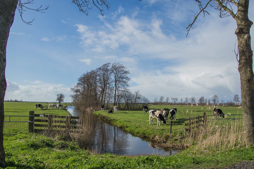 Friesland Landscape by Wolbert Erich