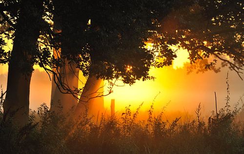 Sonnenaufgang im Nebel
