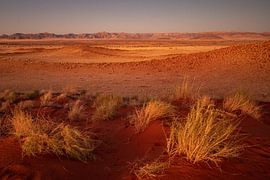 Red sand by Albert Mendelewski