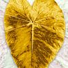 Goldenes Blatt von True Nature Art
