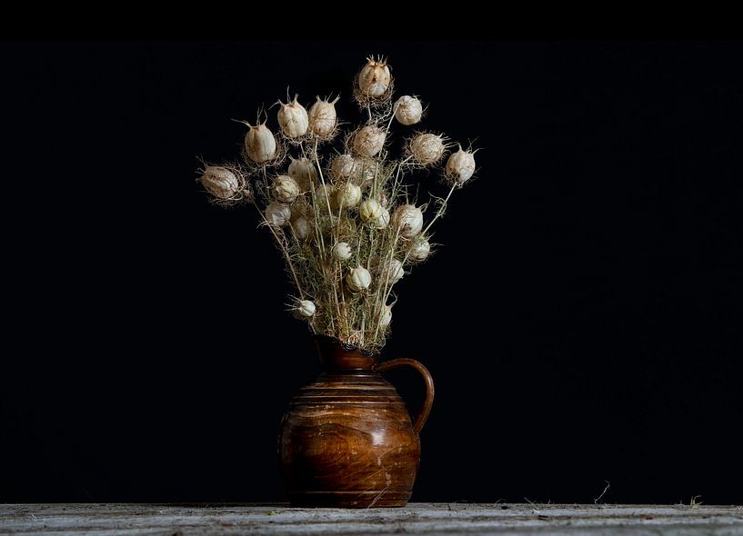 Nigella getrocknet in Vase von Anjo Kan