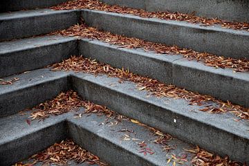 Nature morte réelle - escaliers avec des feuilles sur Lilian Bisschop