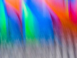 Cheerful colours by Focavie fotografie