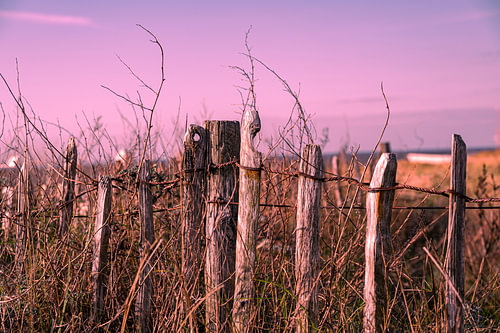 Fence at sunset