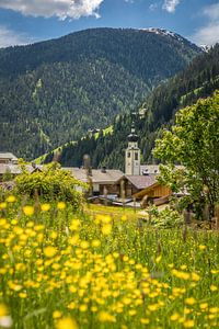 Sommerwiese und Blick auf Innervillgraten im Villgratental