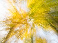 Movement