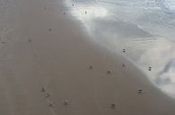 Meeuwen op het strand von Michel van Kooten Miniaturansicht