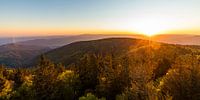 Blick vom Schauinsland über den Schwarzwald von Werner Dieterich Miniaturansicht