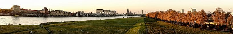 Cologne on the Rhine by Stefan Havadi-Nagy