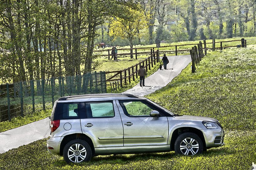 Skoda Yeti van Edgar Schermaul