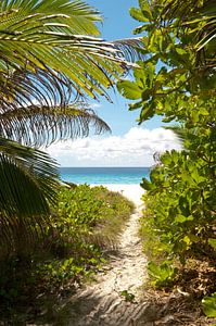 Tropisch doorkijkje naar wit strand en azuur blauwe zee von Color Square
